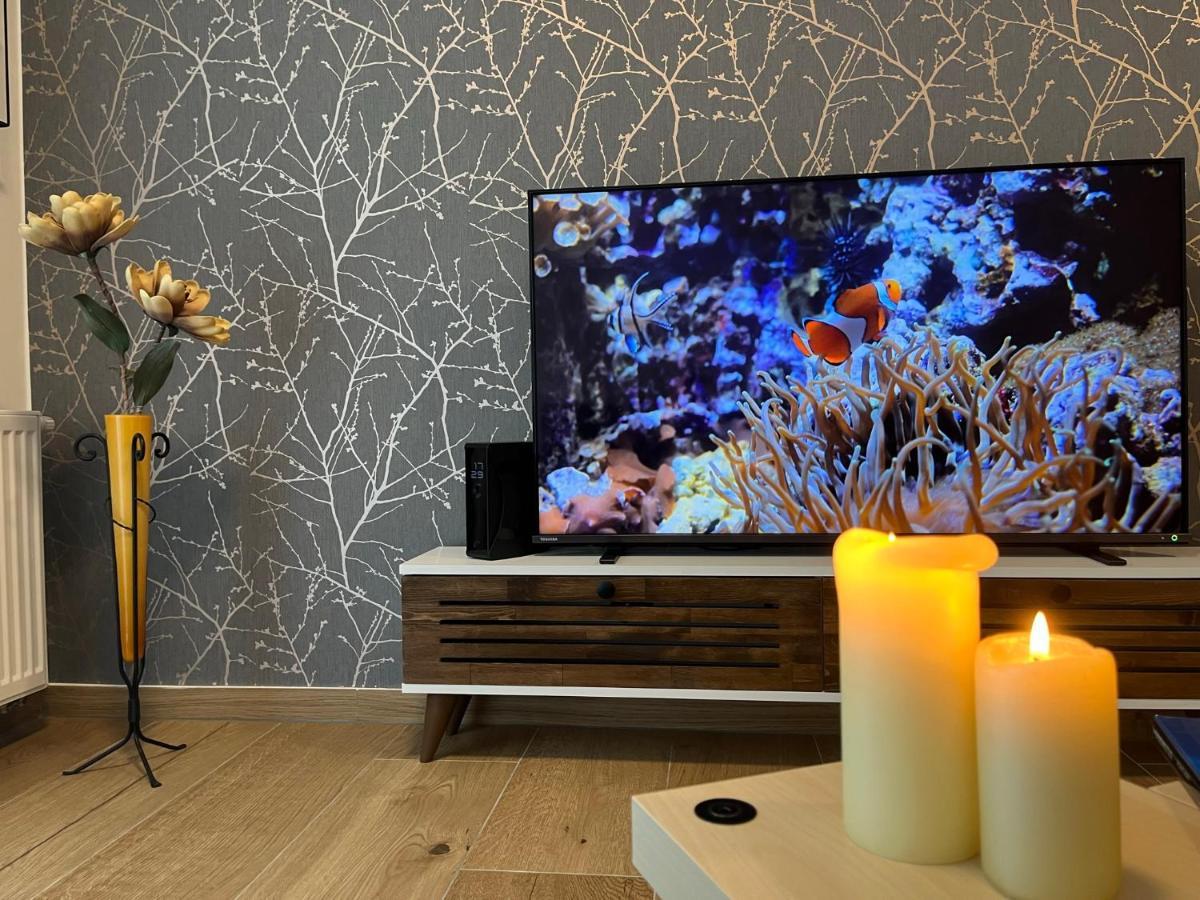 Apartman U Pelikana Olomouc Eksteriør bilde